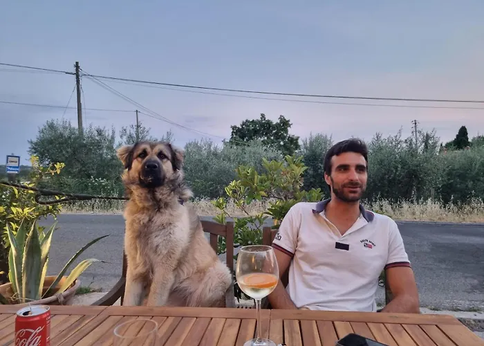 Εξοχικό σπίτι All'andreas *